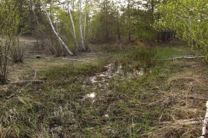 Козачі Лагері з panoramio.com - Козачие Лагеря