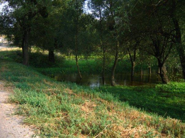 Владиславка з panoramio.com - Владиславка
