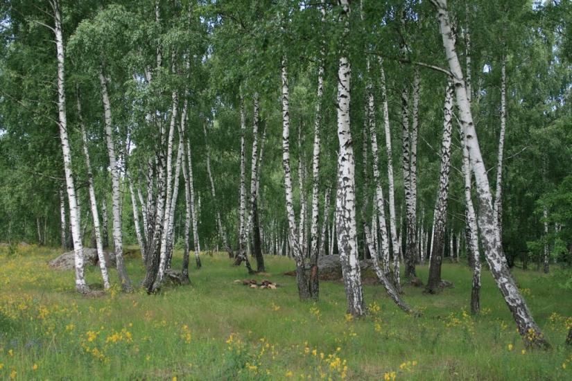 Симони з panoramio.com - Симони