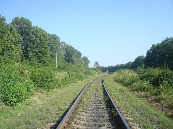Панівці з panoramio.com - Panivtsi