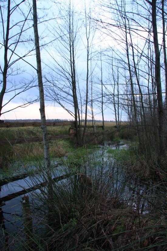 Кам'янка з panoramio.com - Кам'янка