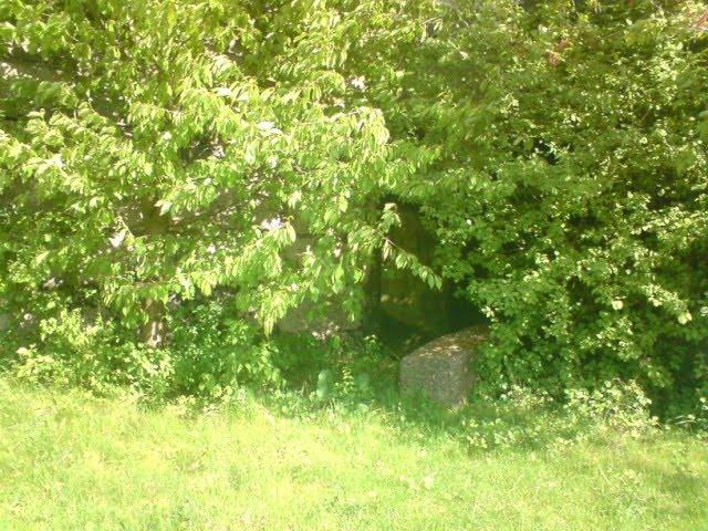 Привільне з panoramio.com - Привільне