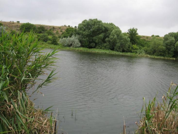 Раєво-Олександрівка з panoramio.com - Раєво-Олександрівка