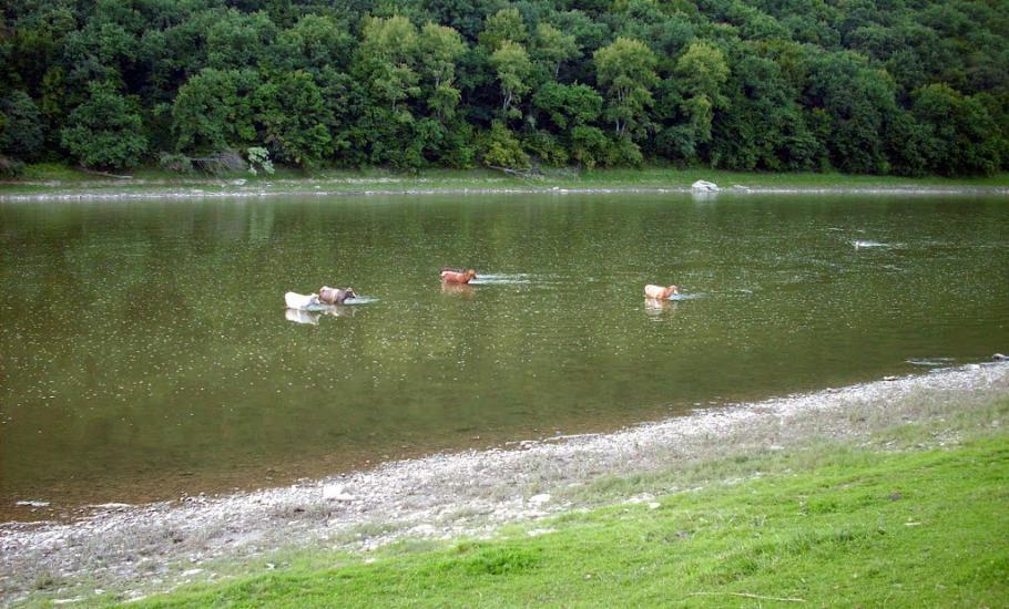 Раковець з panoramio.com - Раковець