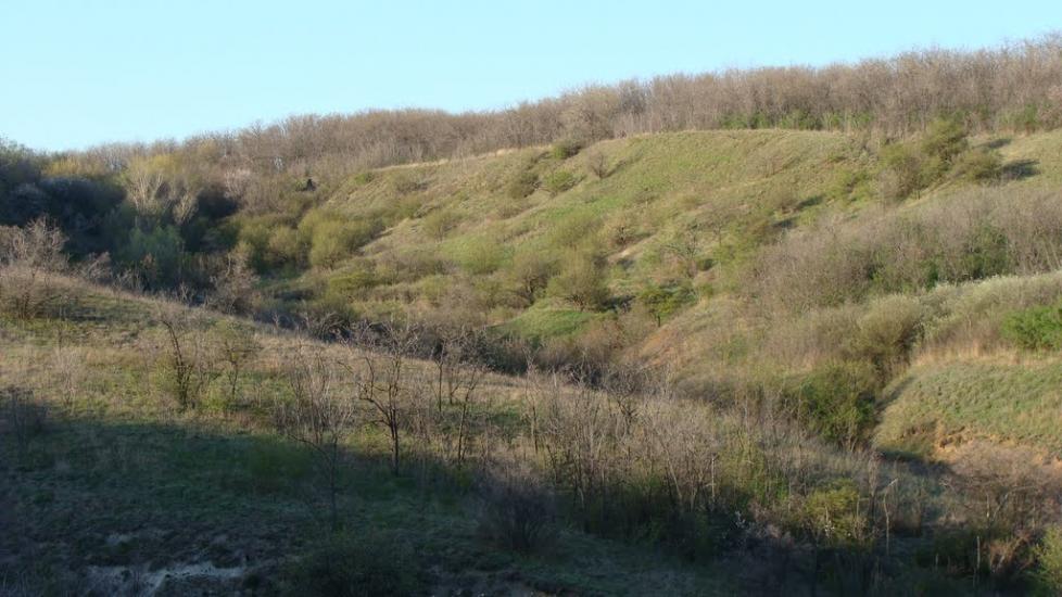 Приморське з panoramio.com - Приморское
