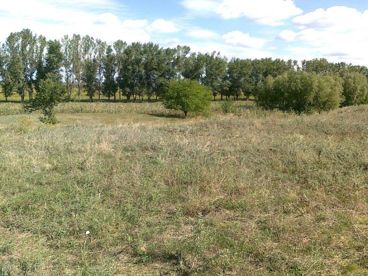 Кутузівка з panoramio.com - Кутузівка