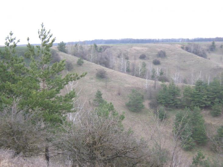 Курган з panoramio.com - Курган