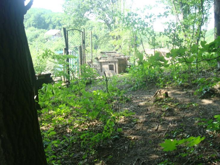 Давидківці з panoramio.com - Давидківці