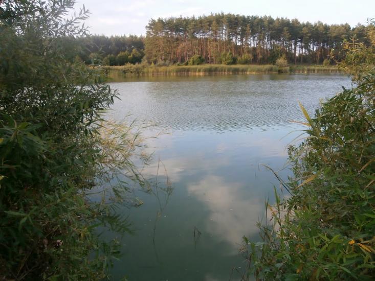 Снігурівка з panoramio.com - Снігурівка