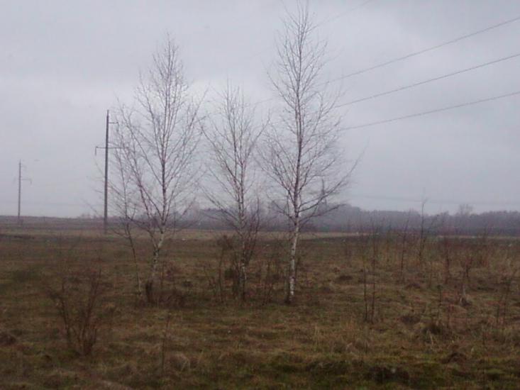 Панчищини з panoramio.com - Панчищини