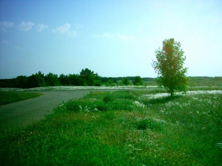 Пролетарка з panoramio.com - Пролетарка