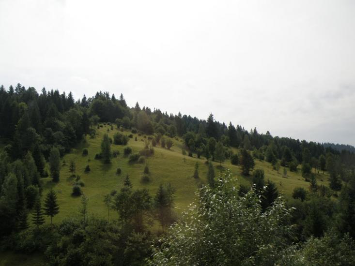 Лопушне з panoramio.com - Лопушне