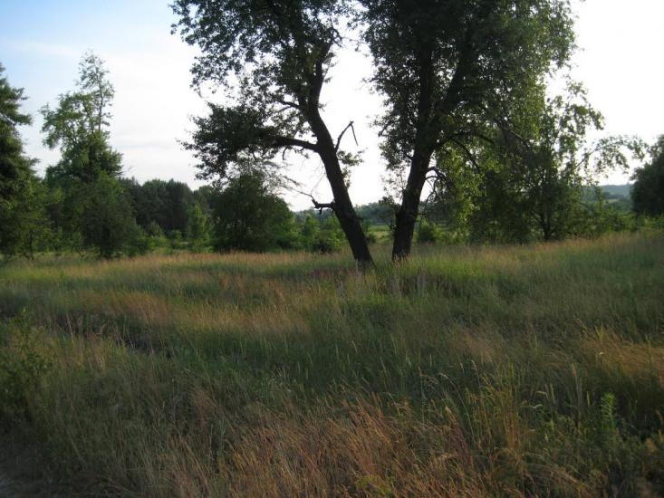 Старосілля з panoramio.com - Starosillya