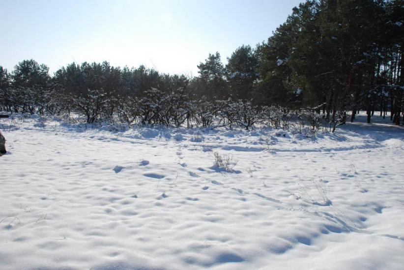 Баловне з panoramio.com - Баловное