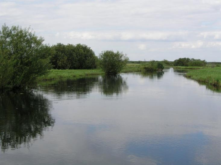 Березичі з panoramio.com - Березичі