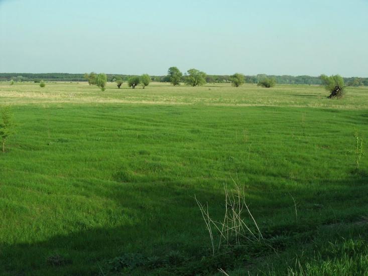 Приліпка з panoramio.com - Прилипка