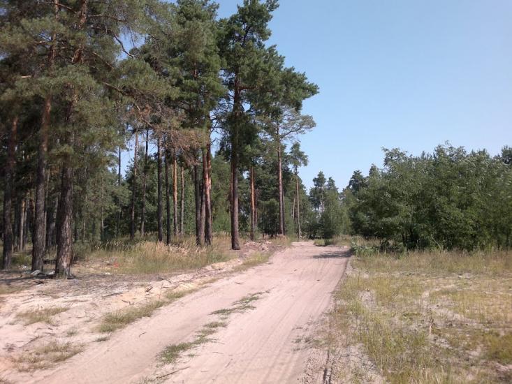 Жукин з panoramio.com - Zhukyn