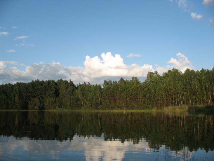 Піски-Річицькі з panoramio.com - Піски-Річицькі