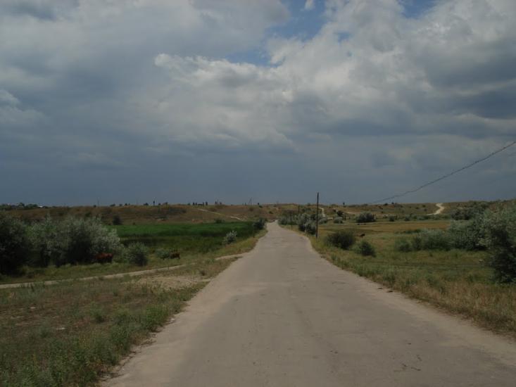 Новотимофіївка з panoramio.com - Новотимофіївка