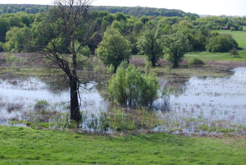 Безруки з panoramio.com - Безруки