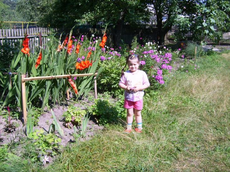 Городище з panoramio.com - Городище