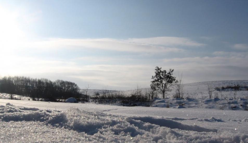 Ружичанка з panoramio.com - Ruzhychanka