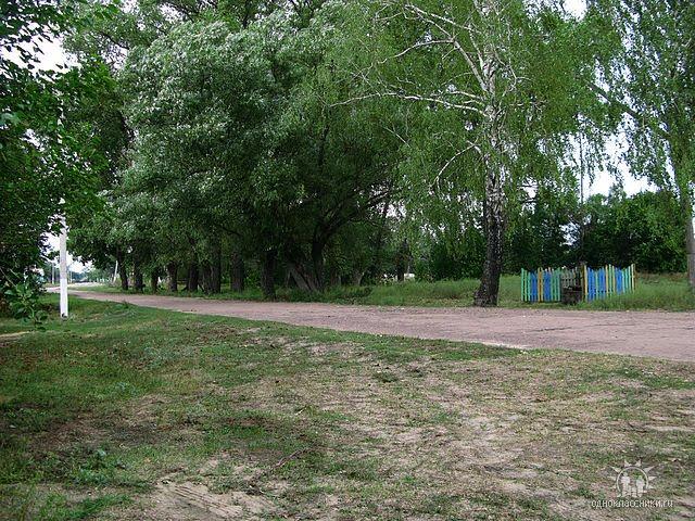 Заріччя з panoramio.com - Заречье