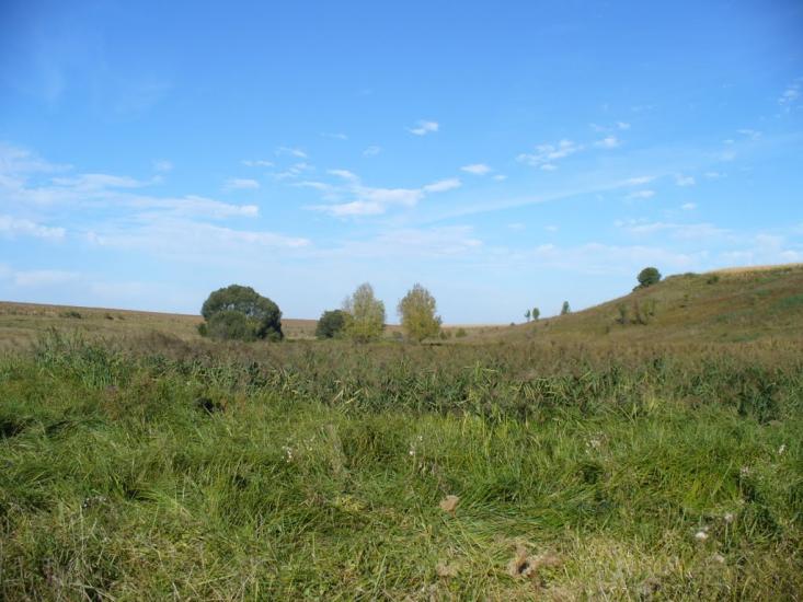 Косяківка з panoramio.com - Косяковка
