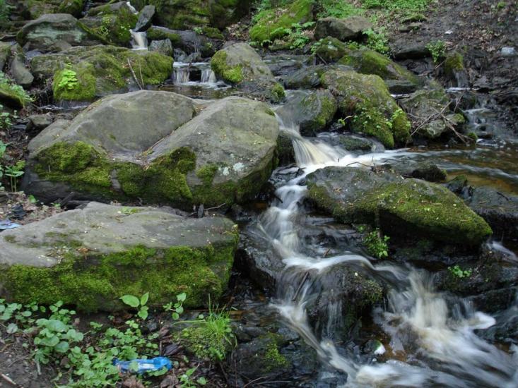 Маринин з panoramio.com - Маринин