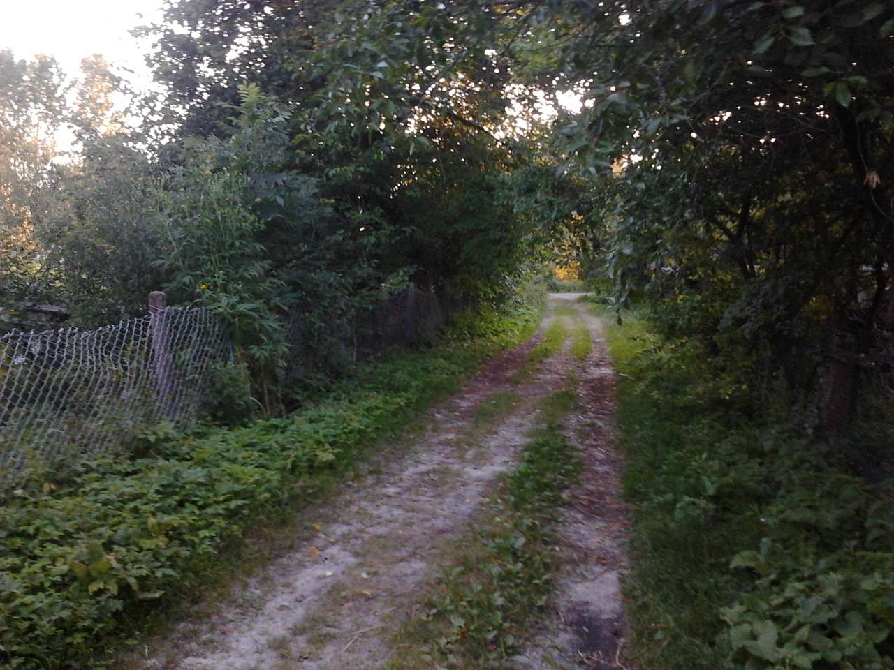 Мирин - Мирин