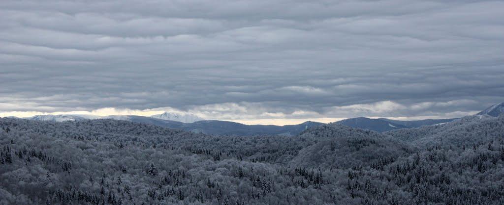Кваси з panoramio.com - Квасы