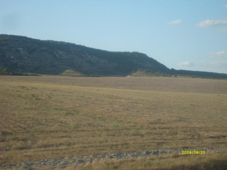 Сирень з panoramio.com - Сирень