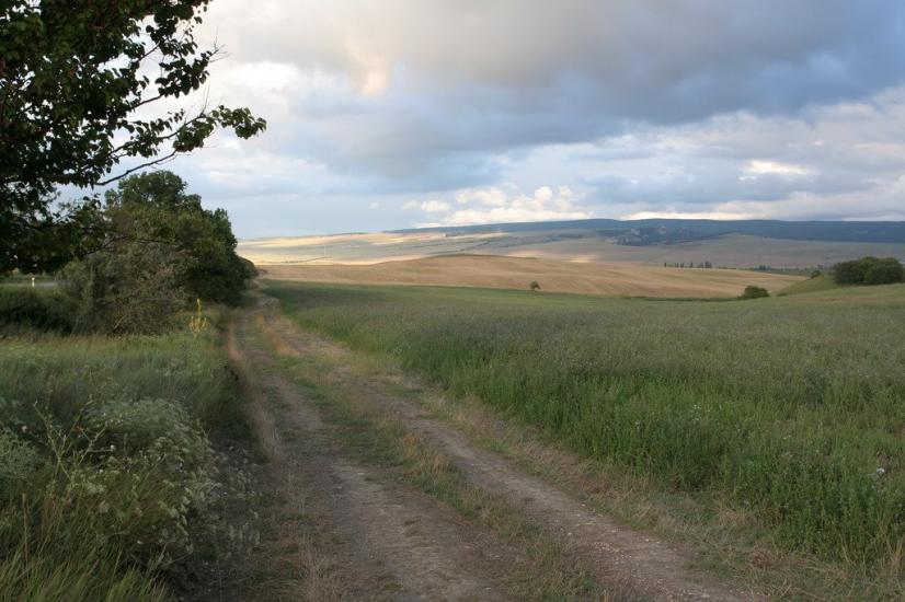 Сирень з panoramio.com - Сирень