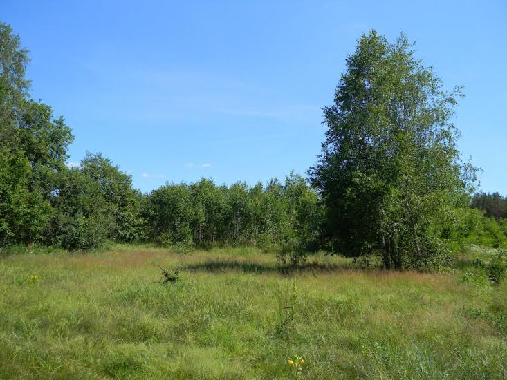 Городня з panoramio.com - Городня