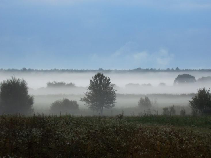 Чорногородка з panoramio.com - Черногородка