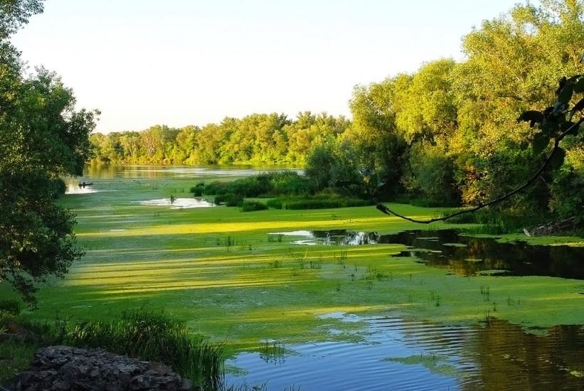Великий Суходіл з panoramio.com - Великий Суходол