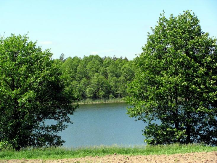 Замостя з panoramio.com - Замостя