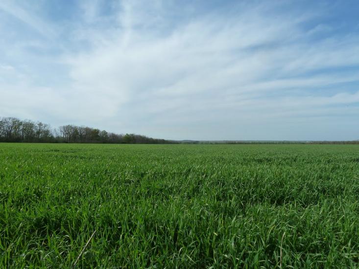 Володимирівка з panoramio.com - Владимировка