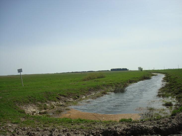 Дроздні з panoramio.com - Дроздні