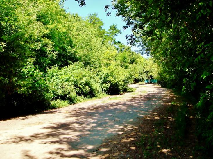 Козацьке з panoramio.com - Казацкое