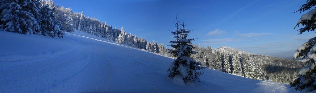 Сухий Потік з panoramio.com - Sukhyy Potik