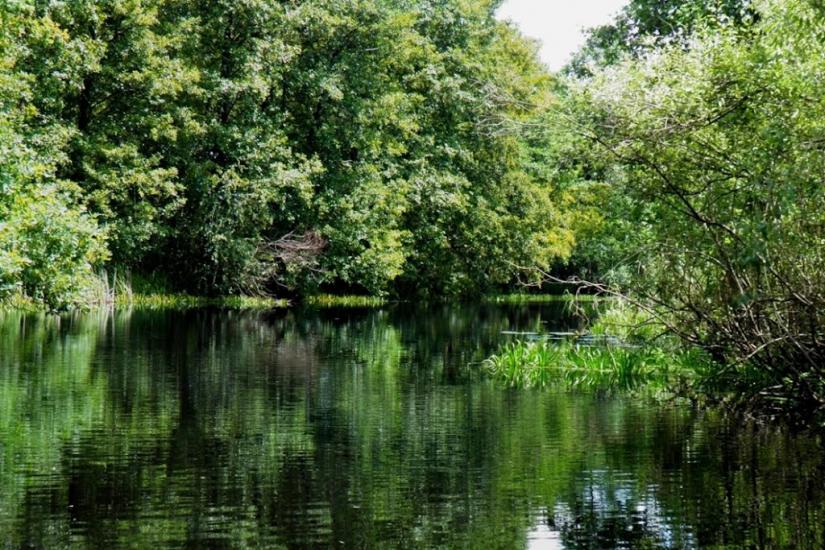 Бучин з panoramio.com - Бучин