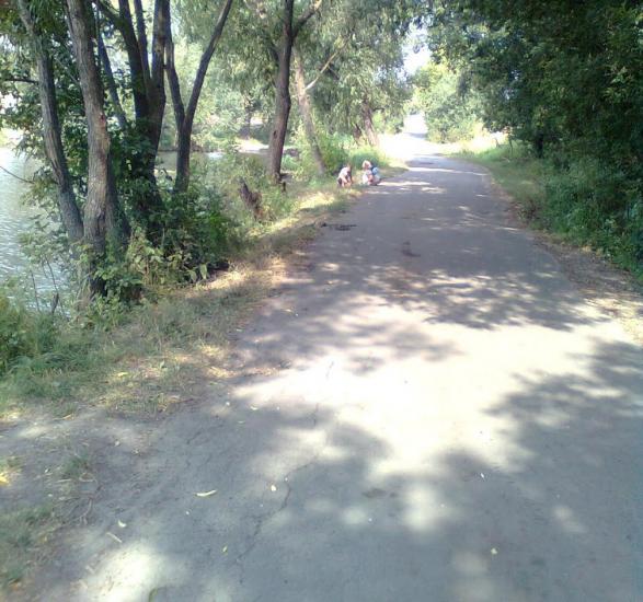 Розаліївка з panoramio.com - Розаліївка