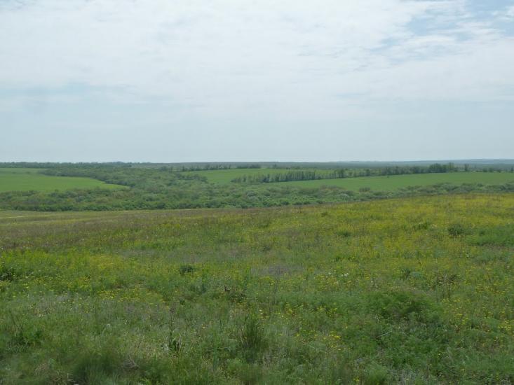 Дебальцеве з panoramio.com - The Debaltsevo