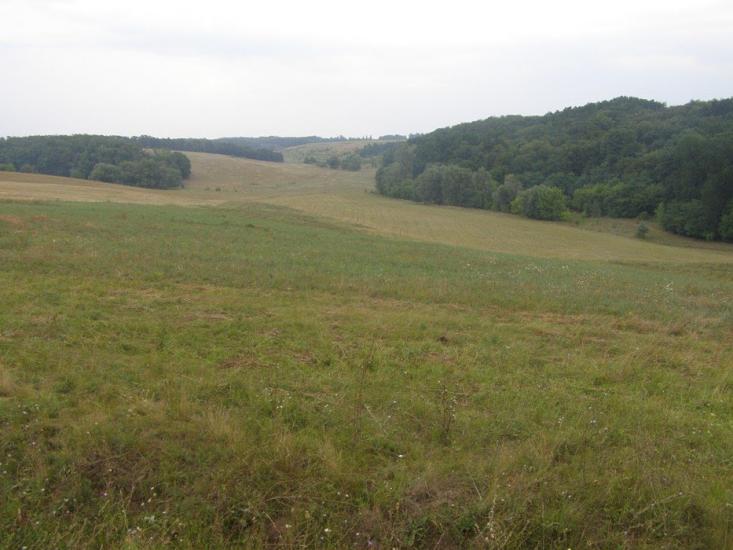 Моринці з panoramio.com - Moryntsi