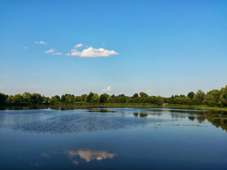 Корюківка з panoramio.com - Корюковка