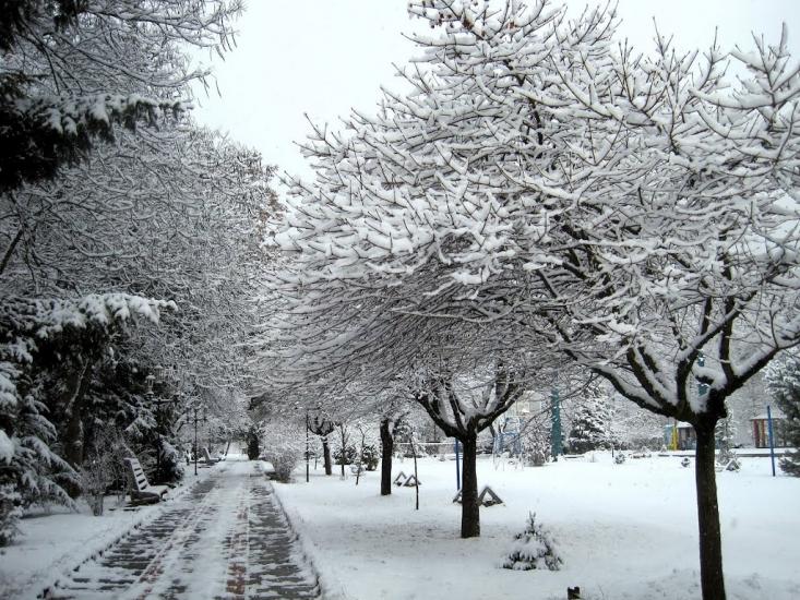 Солочин з panoramio.com - Солочин