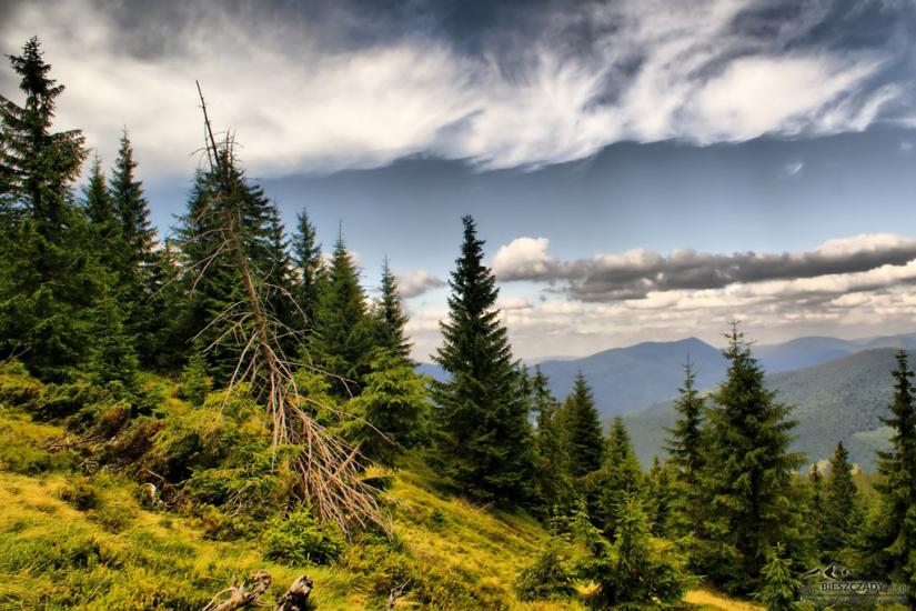 Заверхня Кичера з panoramio.com - Заверхняя Кичера