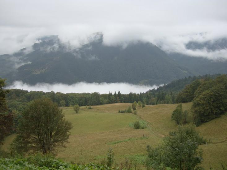 Кваси з panoramio.com - Квасы