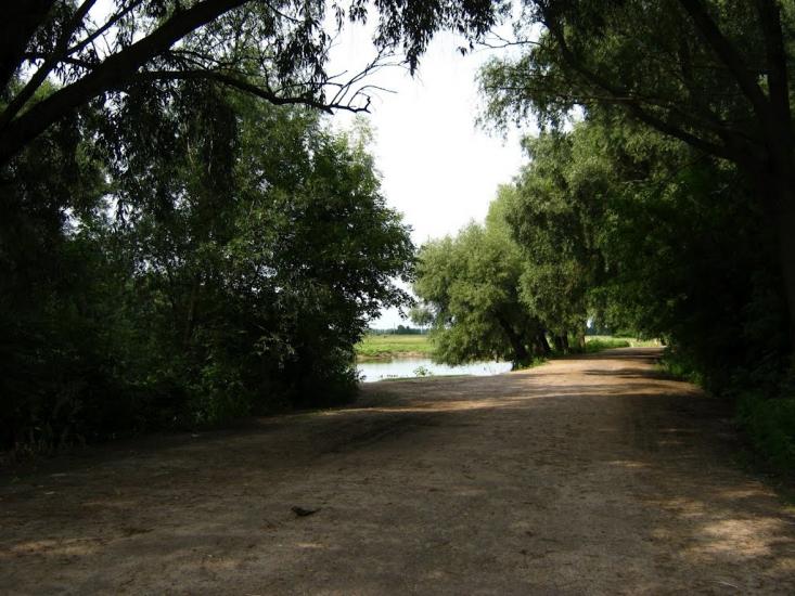 Підлісне з panoramio.com - Підлісне